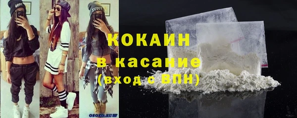 крисы Аркадак