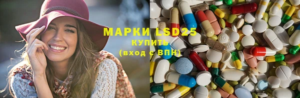 крисы Аркадак