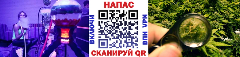Канабис план  Сланцы 
